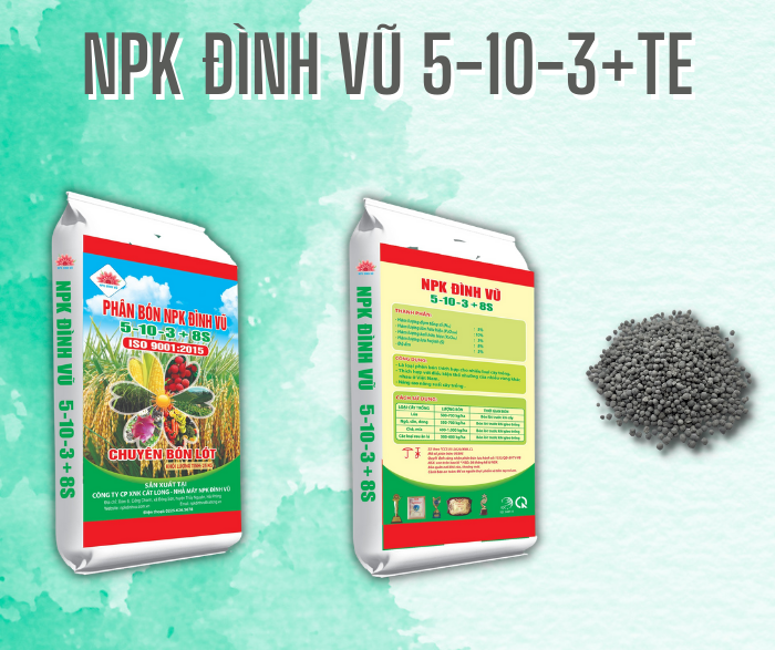 NPK Đình Vũ 5.10.3+8S+TE